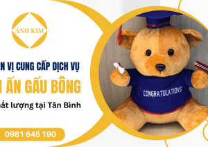 Đơn vị cung cấp dịch vụ in ấn gấu bông chất lượng tại Tân Bình 